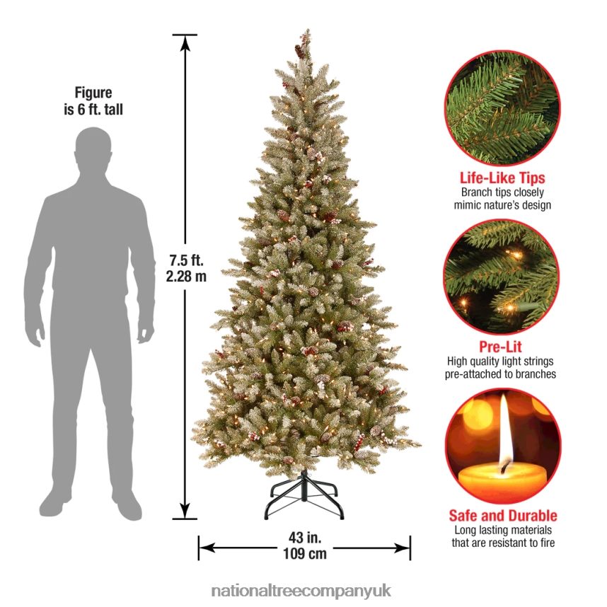 Trees | National Tree Company 75 ft Dunhill(R) Fir Slim Tree with Clear Lights F2L4F80